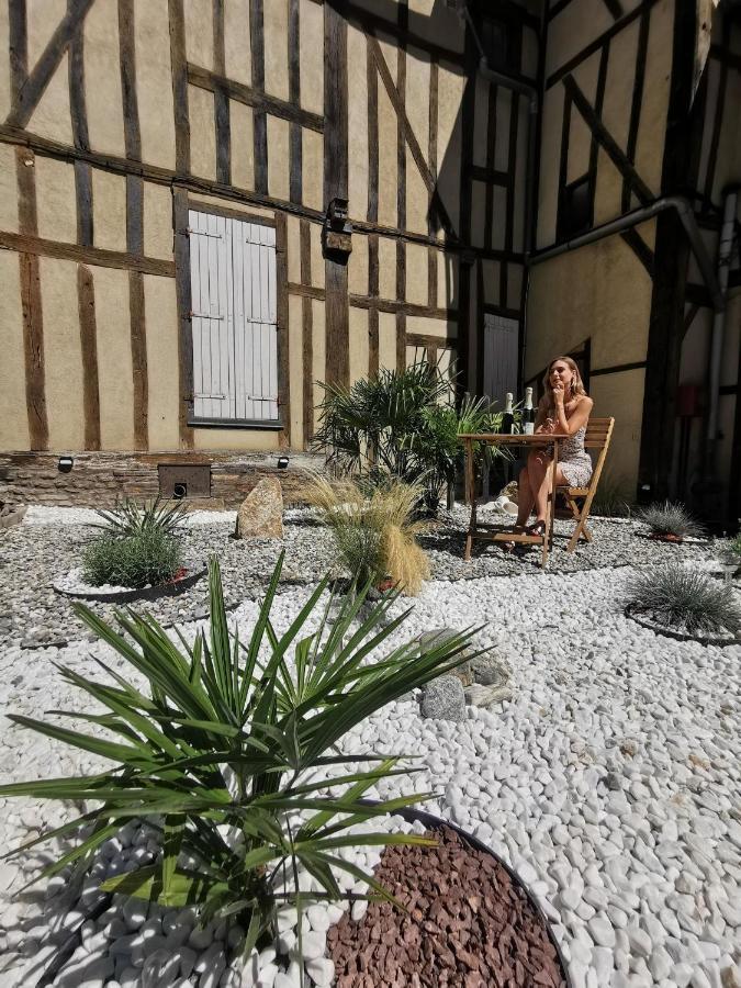 Le Chat De La Cathedrale - Calme - Jardin - Wifi Troyes Exteriér fotografie