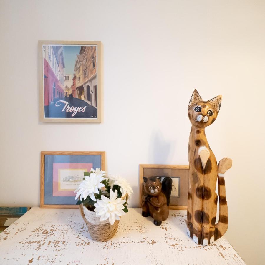 Le Chat De La Cathedrale - Calme - Jardin - Wifi Troyes Exteriér fotografie